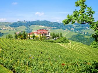 Hügellandschaft im Piemont