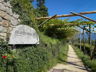 Steinschild mit Aufschrift Brandiswaalweg neben einem Kiesweg mit Weinreben-Pergola. Steinmauer mit Efeu und Bergblick unter blauem Himmel.