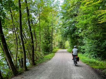 Cyclist on the river bank