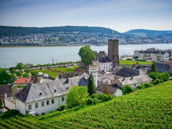 Panoramic view of Rüdesheim