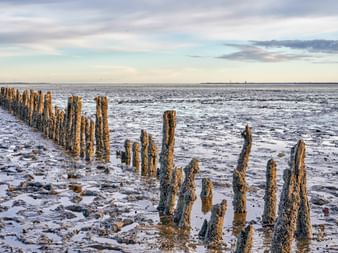 Wattenmeer