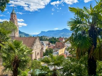 View of Meran's old town with church tower and colorful buildings, framed by palm trees, with mountains in the background under blue sky.