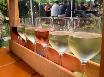 Weingläser mit verschiedenen Weinen