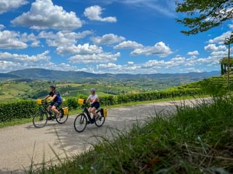Zwei Radfahrer mit gelben Taschen auf einem asphaltierten Weg durch Collio-Weinberge in Friaul, mit grünen Hügeln und blauem Himmel.