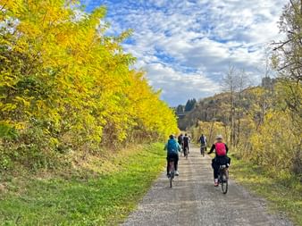 Autumn atmosphere on the Alpe-Adria Cycle Path