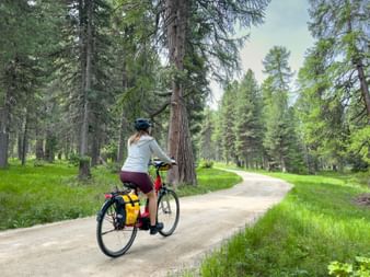 Cycle path through the forest in St. Moritz