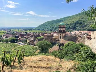 Weinberge mit Blick auf Kaysersberg