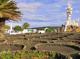 Vulkanischer Weinberg auf Lanzarote mit halbkreisförmigen Steinmauern zum Schutz der Rebstöcke. Weiße Gebäude und Palmen, modernes Monument im Hintergrund.