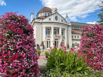Kurhaus Meran, a white classical building with dome and columns, framed by vibrant pink petunias and red cannas under blue sky.