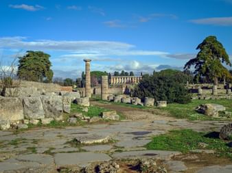 Paestum Ruins