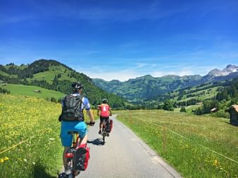 Cyclists on the cycle path