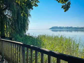 Uferweg auf der Insel Mainau Uferweg auf der Insel Mainau