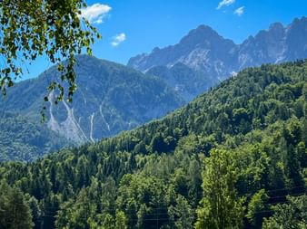 Bewaldete Hügel und felsige Berggipfel im Radnova Tal unter blauem Himmel. Baumzweige rahmen die Aussicht im Vordergrund.
