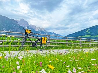 Tourenrad mit gelben Taschen in bunter Blumenwiese am Drau-Radweg bei Lienz, mit dramatischen Berggipfeln im Hintergrund.