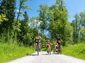 Family of four cycling on gravel path through green forest on Alpe Adria route between Salzburg and Villach under blue sky.