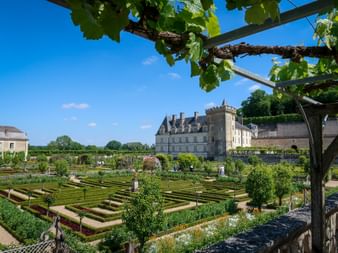 Blick auf Schloss Villandry mit formalen Renaissance-Gärten mit geometrischen Mustern, geschnittenen Hecken und bunten Blumenbeeten unter blauem Himmel.