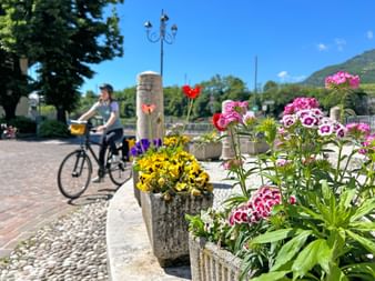 Colorful flowers on an Italian piazza with a cyclist in the background.