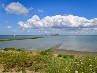 Küstenlandschaft im Nationalpark Oosterschelde mit grasbewachsenen Dünen, ruhigem Wasser und Frachtschiffen am Horizont unter blauem Himmel.