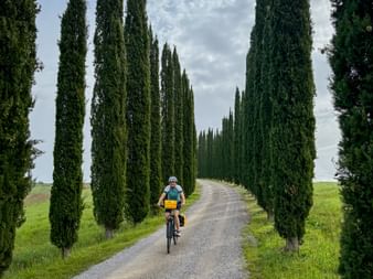 Radfahrer auf einer Schotterstraße gesäumt von hohen Zypressen in der Toskana. Grüne Felder und bewölkter Himmel rahmen die Route.