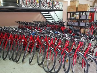 Our red Eurobike rental bikes