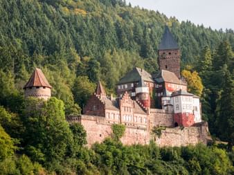Schloss Zwingenberg