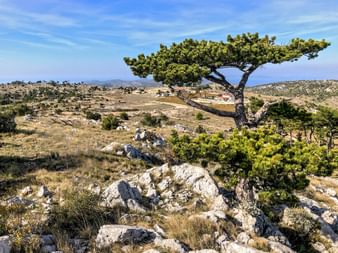 Ausblick in Hvar
