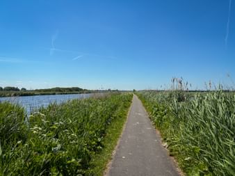 Asphaltierter Radweg entlang der Duifpolderkade mit blauem Wasser links, grünem Schilf beiderseits und klarem blauen Himmel.