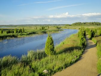 Paved cycling path along a winding river with green meadows and conifer trees. Blue sky with white clouds over the Baltic landscape.