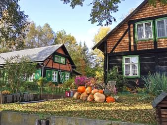 Small typical farm in the Spreewald