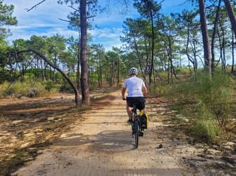 Radfahrer fährt durch einen Pinienwald auf einem sandigen Weg im Golf von Gökova. Hohe Pinien säumen beide Seiten unter blauem Himmel.