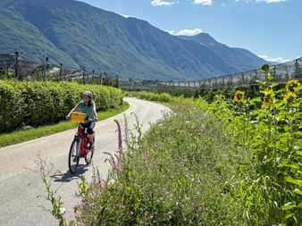 Female cyclist on paved bike path near Lana with apple orchards, sunflowers, and mountain backdrop under blue sky.