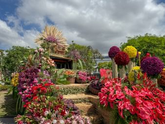 Flower splendour in Funchal
