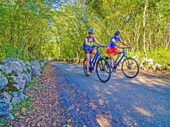 Cycle path through Istria's forests