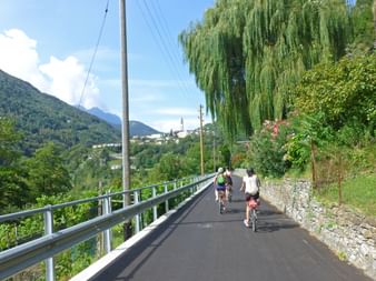 Cyclists on bike path