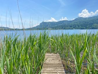 Wooden jetty leading through tall green reeds to a blue lake in Carinthia. Mountains and white clouds visible in the background.