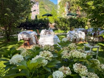 Garden restaurant near Bozen with white-clothed tables and chairs on a lawn, surrounded by lush greenery and white hydrangeas in the foreground.