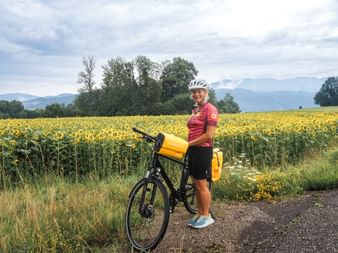 Cyclist in front of field with sunflowers