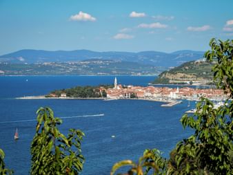 Panoramablick auf Izola, eine Küstenstadt in Slowenien, mit rotgedeckten Gebäuden, Kirchturm und Hafen an der blauen Adria.
