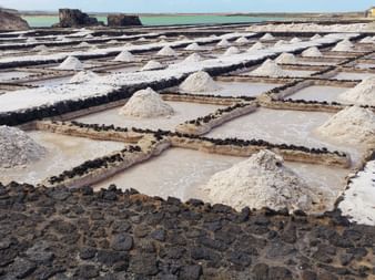 Salt farm