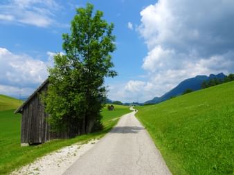 Cycle path between green meadows