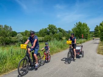 Vierköpfige Familie radelt auf asphaltiertem Weg im Allgäu. Zwei Erwachsene und Kind auf Rädern mit gelben Taschen, ein Erwachsener zieht Fahrradanhänger.