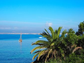 View of the bay of Playa de Palma