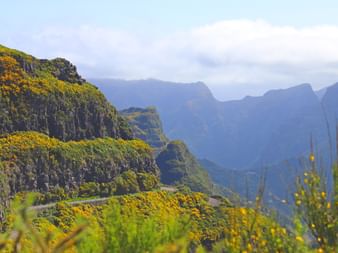 Picturesque view of Madeira's overgrown mountains