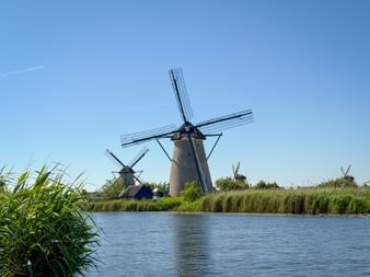 Reihe traditioneller holländischer Windmühlen in Kinderdijk entlang eines Kanals mit Schilf. Klarer blauer Himmel und grüne Vegetation in der Landschaft.