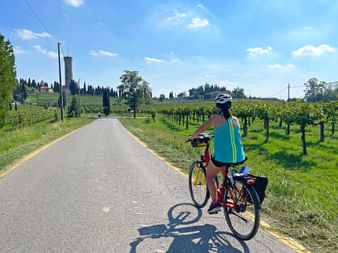Radfahrerin neben Weinstöcken