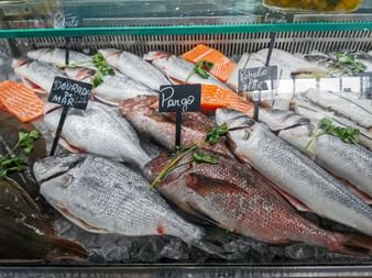 Fish counter in Cascais