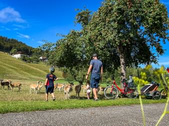 Radpause Wildgehege mit Kindern und Fahrräder