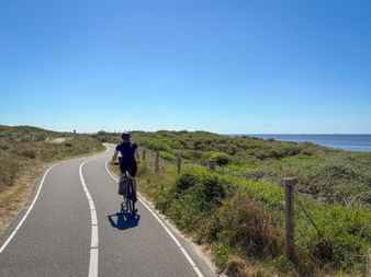 Radfahrerin auf asphaltiertem Küstenradweg bei Noordwijk mit Dünen, grüner Vegetation und blauem Meer rechts unter klarem Himmel.