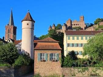 Wertheim am Main