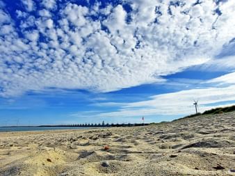 Beach dunes